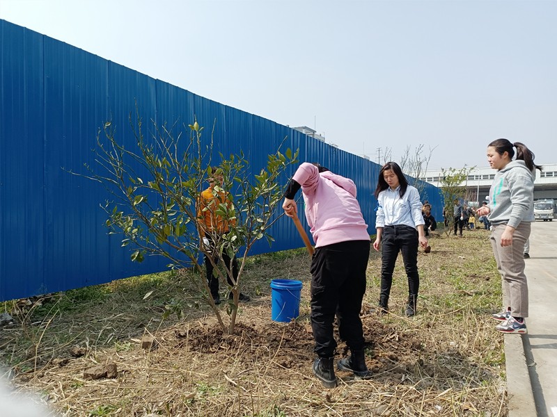 1615792678239575.jpg IMG20210313111612.jpg